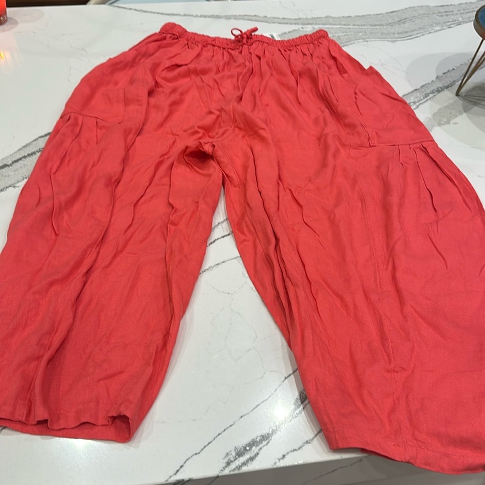 Free People size L NWT pink cargo pants